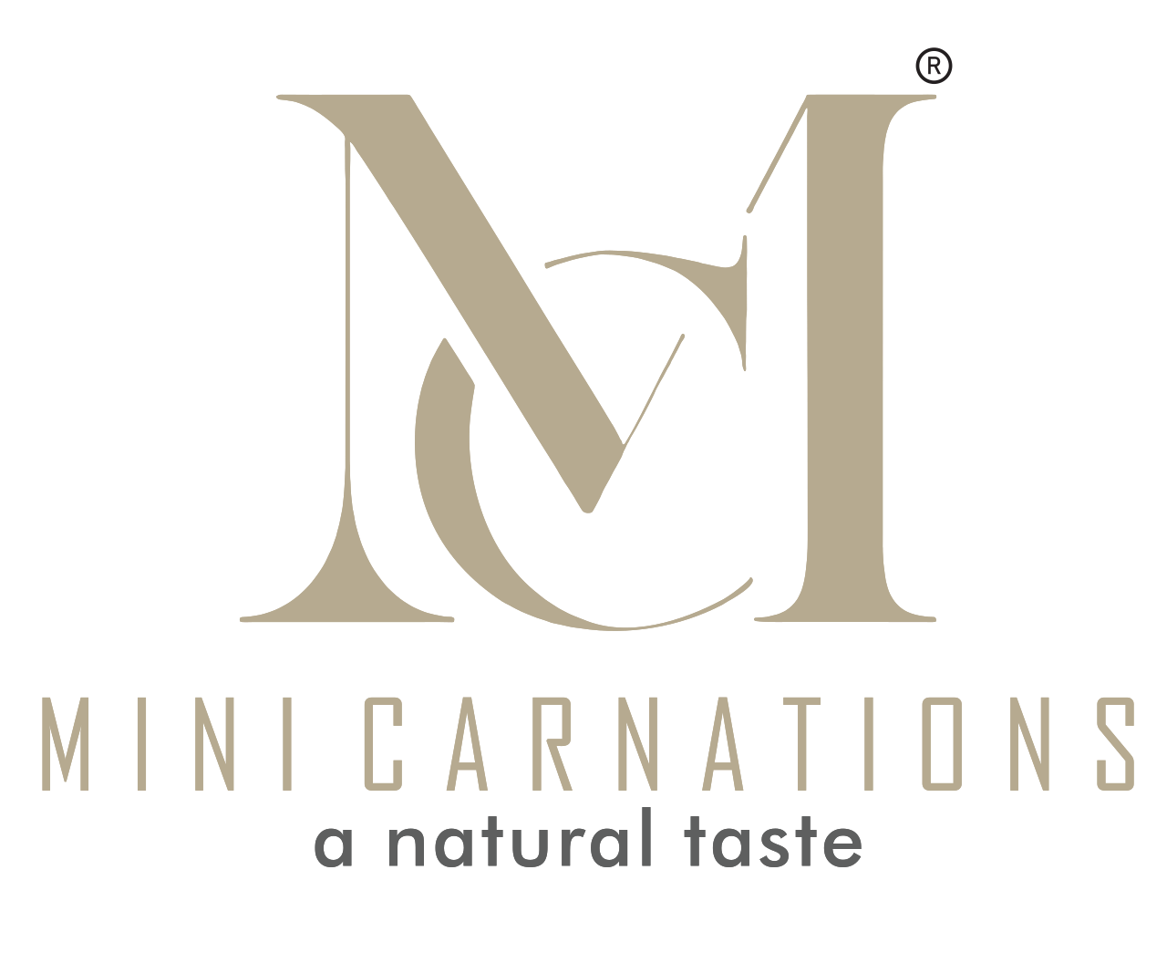 Mini Carnations